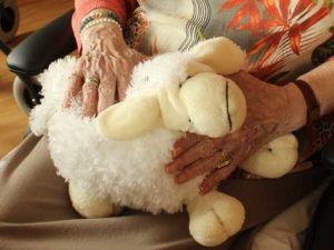 elder-care-lamb