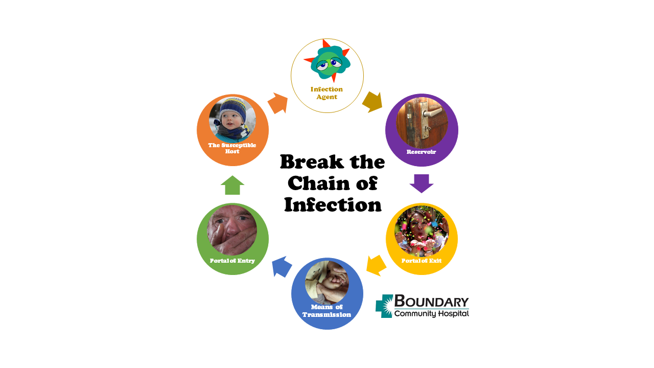 bch-chain-of-infection-graphic